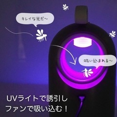 最終値下げ　UV蚊取りランプ　ノベルティ　数量多数　激安　@500円