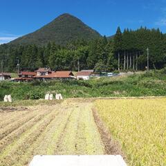 令和4年産 広島県龍頭山麓 ひとめぼれ 玄米30kg