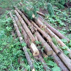 間伐材　柱　掘立て　小屋　杉　ひのき　薪