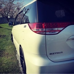 ★値下げ★ エスティマ50系　車高調　ダウンサス　タナベ　サステックプロ