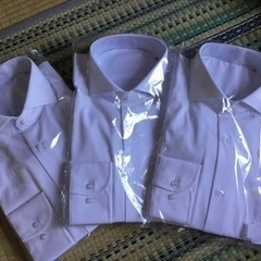 【最終値下げ】トッズ　シャツ40サイズ　ネクタイ