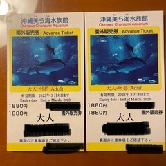 美ら海水族館チケット２枚