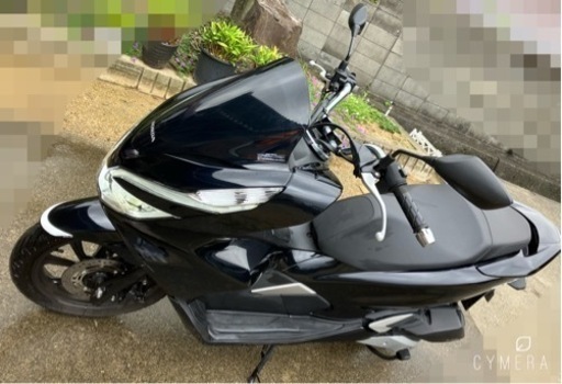 ホンダ　ＰＣＸ１２５　2018年モデル ＪＦ８１　スマートキー（キーレス）