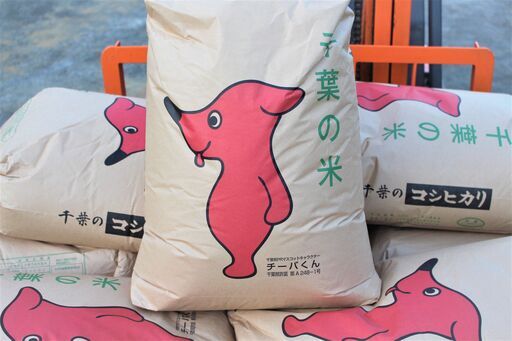 令和4年9月収穫 新米コシヒカリ ３０ｋｇ ８０００円 低農薬で育てまし ...