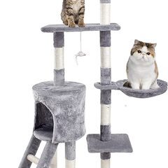 【ネット決済】猫 備品 3点セット　綺麗