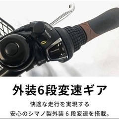 TTD 19460 【⭐︎ デンデ様⭐︎】【美品・数量限定】 PELTECH X-Adventure TDN-246L ペルテック 20型折り畳み電動アシスト