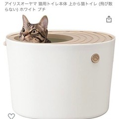 猫用トイレ本体 上から猫トイレ (飛び散らない) ホワイト プチ