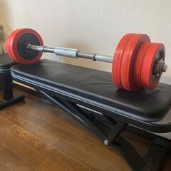 筋トレセット（ベンチ台+ダンベル(30kg×2)）