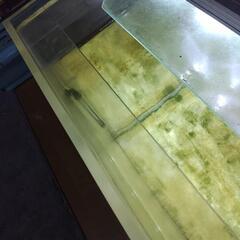 1800水槽(大型魚3匹付)