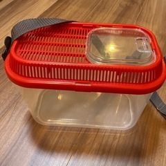 虫かごの中古が安い 激安で譲ります 無料であげます ジモティー