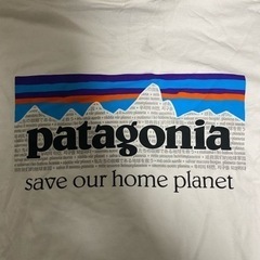 美品　Patagonia パタゴニア　Tシャツ　レディース - 江東区