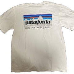 美品　Patagonia パタゴニア　Tシャツ　レディース