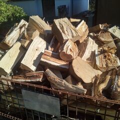 ○お取引成立○ 引取限定 広葉樹 未乾燥 訳あり 規格外 薪 0.87