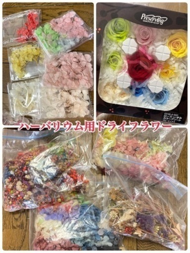 値下げハーバリウム手作りセット 総額4万円分