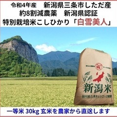 取引中)はちみつ 宮崎県産ニホンミツバチ日本蜜蜂みつばち 4.8kg