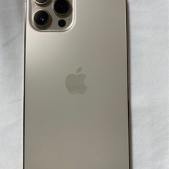 iPhone12pro max 256GB