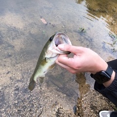 素人の素人による素人のための釣り仲間。