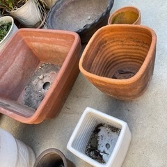 植木鉢　陶器　30-50cm  6個　無料