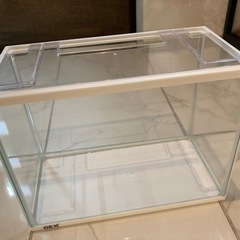 GEX製　ガラス水槽　白枠　小型