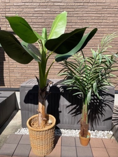 フェイク観葉植物