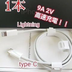 タイプC ライトニングケーブル 1m1本 工場取り寄せ品 iPhone