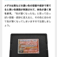 チャコット制Sサイズ社交ダンススカート３０個決まりました！早い物勝ちタライ60 水抜き線付きメダカ水槽