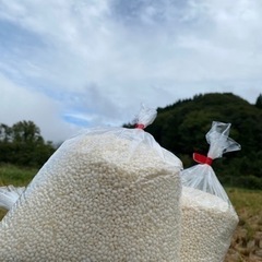 米農家直売　　餅米玄米　10ｋｇ