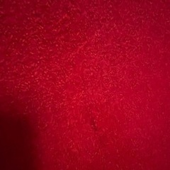 アルネヤコブセン スワンチェア レッド リプロダクト