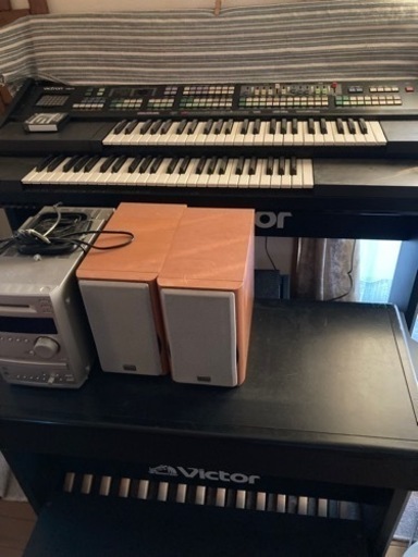 ビクトロン NS-7
