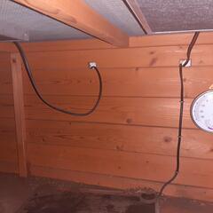 爬虫類用の飼育ケース