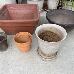 植木鉢　陶器　無料