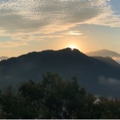 雲海見に行こう