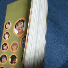 週刊プレイボーイ　特別編集　ギャルズメイト　1982年　アイドル達。