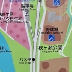 【次回は秋】桜草公園のパークヨガ　近所でらくらくヨガlife - スポーツ