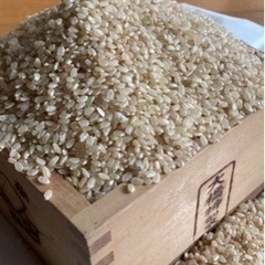 Ｒ5年産コシヒカリ無農薬栽培　玄米30kg