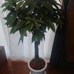パキラ 150センチ位 人工観葉植物