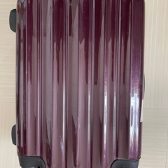 スーツケース　ダブルファスナー　小さめサイズ