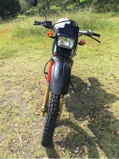 希少】XLR250R(MD16)実働車(自賠責～R5.5迄)