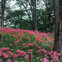 ⭐全額当日払い⭐前日シフト申告OKなので急に空いてしまった日でも...