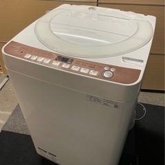 ✨2020年製 SHARP 洗濯機 7kg✨