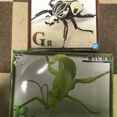 一番くじ昆虫　世界の博物館　B賞　G賞　セット