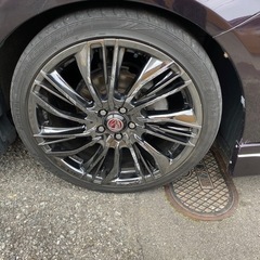 レイズ　ベルサス　18インチ