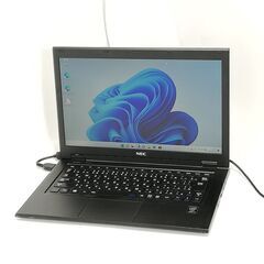 ソヨゴ/大株立ち/良形株【現品発送】管理60761
