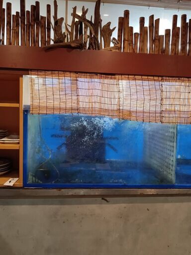 和食店に設置してある「生け簀」 和食店に設置してある「生け簀」 【公式通販】