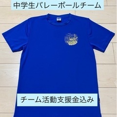 【ネット決済・配送可】BLUE WAVES Tシャツ｜チーム活動...