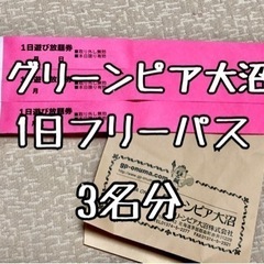 グリーンピア大沼　フリーパス　3名分