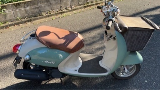 ビーノ モルフェ2014年登録 | energysource.com.br