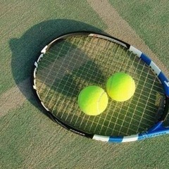 🚨急募🚨2/18(土)25(土)テニスやりませんか！！🎾