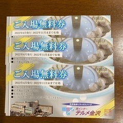 【ネット決済・配送可】テルメ金沢　入場券　11月末まで