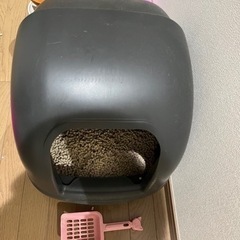 猫トイレ　中古